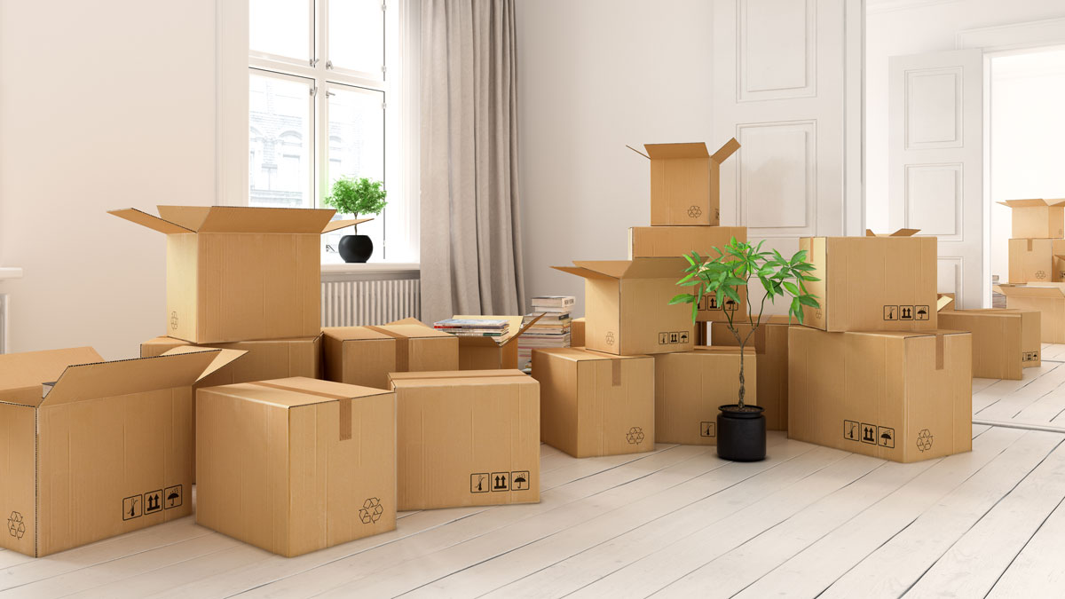 interior-with-packed-cardboard-boxes-for-relocation-house-moving